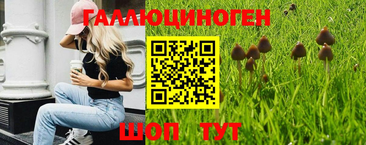 Галлюциногенные грибы Cubensis Ярославль