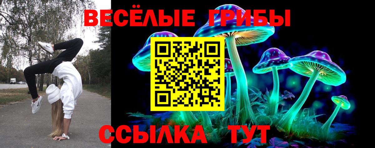 Ярославль  Галлюциногенные грибы мицелий  Вход с VPN 
